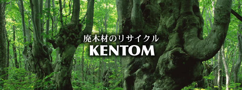 ������ЃP���g��